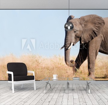Bild på Wild African Elephant